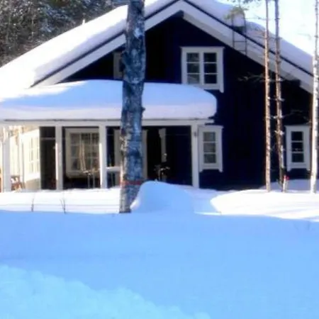 Holiday Mikkola *